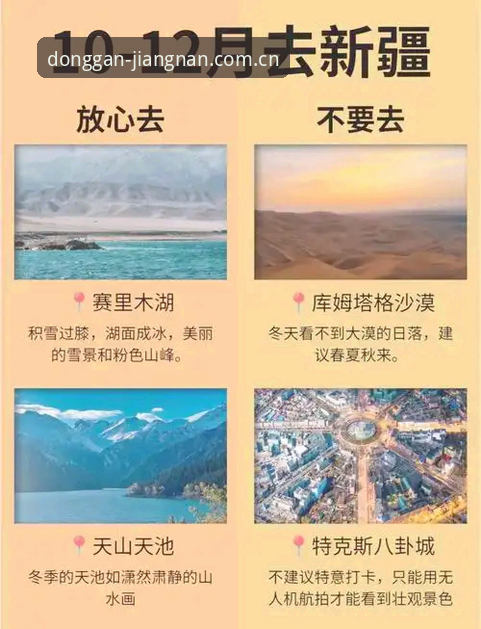 中国动感呼号苹果版iOS版vs安卓版：避坑指南与实测对比